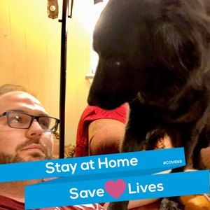 Meet your Posher, Gavin